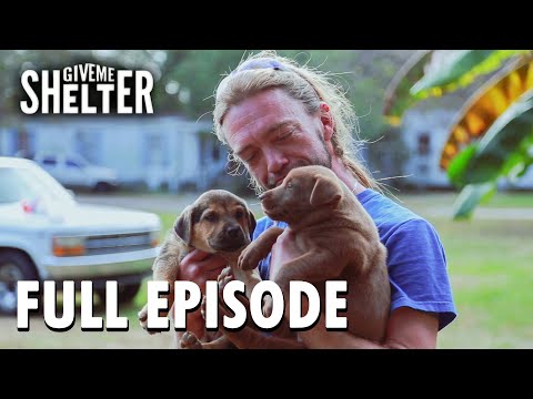 Give Me Shelter (2015) | S1 E7 | Full Episode | FANGS