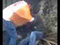 videos de Tuff nut!!!