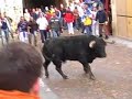 Ciudad Rodrigo 2007 - Encierro del sábado Ciudad Rodrigo 2007 - Encierro del sábado