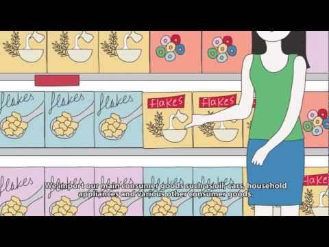 inflation - Short animation explaining what is Inflation, what is the CPI, how it is calculated and how Inflation should be measured more accurately in Lebanon. Project ...