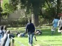 try cacho vs comercial inter 2008
