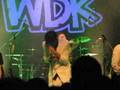 WDK TT 12 hule