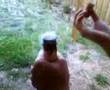 videos de Vday3