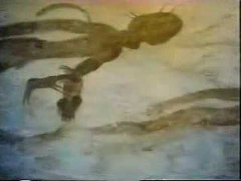 Image de prévisualisation YouTube