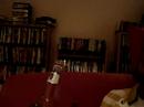 Drunken Stuper The Beginnig