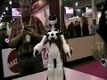 CES: WowWee FemiSapien Dances and Blows Kisses