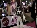 CES: WowWee FemiSapien Dances and Blows Kisses