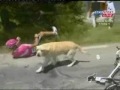 Owned Compilation #2