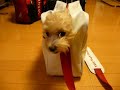 呼んだ?