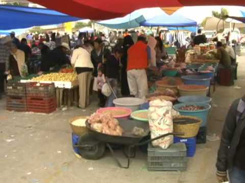 +zacatecas+mexico