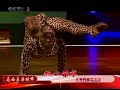contortion