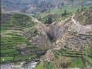colca