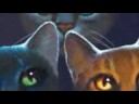 Fireheart-Goodbye Spottedleaf, Bluestar and Yellowfang
