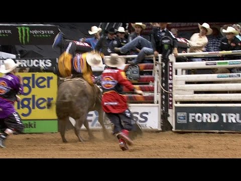 how to train pbr bulls