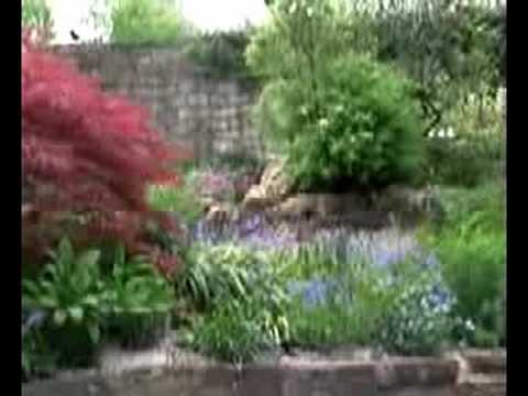 Hoggywart - Small but well established alpine garden full of spring delights. Three generaions of the family have collected the plants and bulbs. The garden has recently...