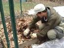 Talk about Mulching and Compost