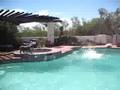 ogram dogs swimming