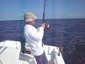 Kingfish Madness In NKL Kingfish Madness In NKL