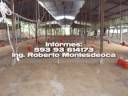 videos de GRANJA AVICOLA EN VENTA