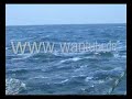 Nordsee segeln - Hochsee Segelyacht 57 Fuss - Verkauf