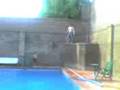 lalo al agua