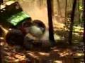 2006 King of the Hill Trailer