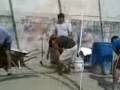 videos de tRAbAjnDO en lA OBrA