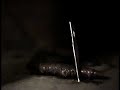 Scars on Broadway - Universe Album Teaser