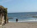 San Simeon Cove