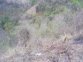 CAÑON RANCHO SAN FELIPE