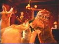 La llama que llama 12 - Santa Mariano Closs