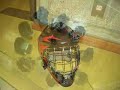 floor ball