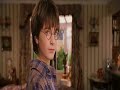 Harry Spotter e La Crescina Filosofale