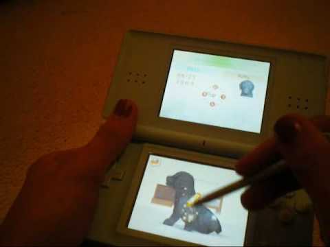 how to get more owner points in nintendogs