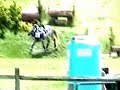 Nice Save  KY Classic XC