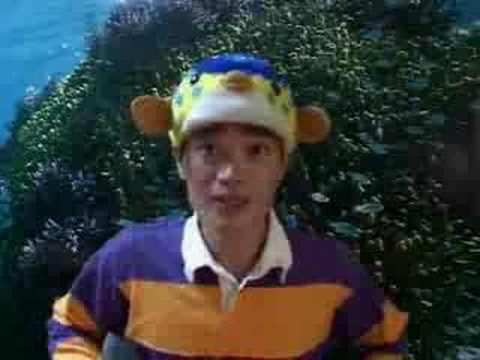 sakana-kun
