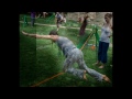 Slackline Yoga - YogaSlackers @ The Telluride Yoga Festival