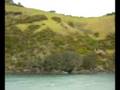 videos de Around Waiheke Is. 89 by MetriQ time tracking & timesheets