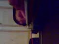 Indian bulbul tarang (banjo keyboard)
