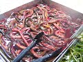 i was surprised after looking at the food ,which chinese eat.i dont know how come they eat it