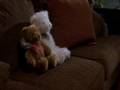  - Piczo Movies Video