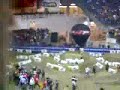 Double backflip in Genova by Scott Murray