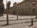 videos de Auschwitz and Birkenau