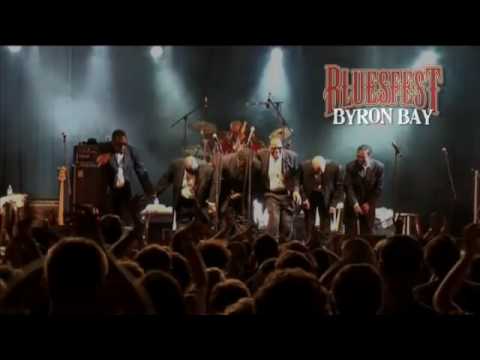 browndog2006
