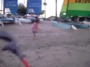 The Gymnast The Gymnast