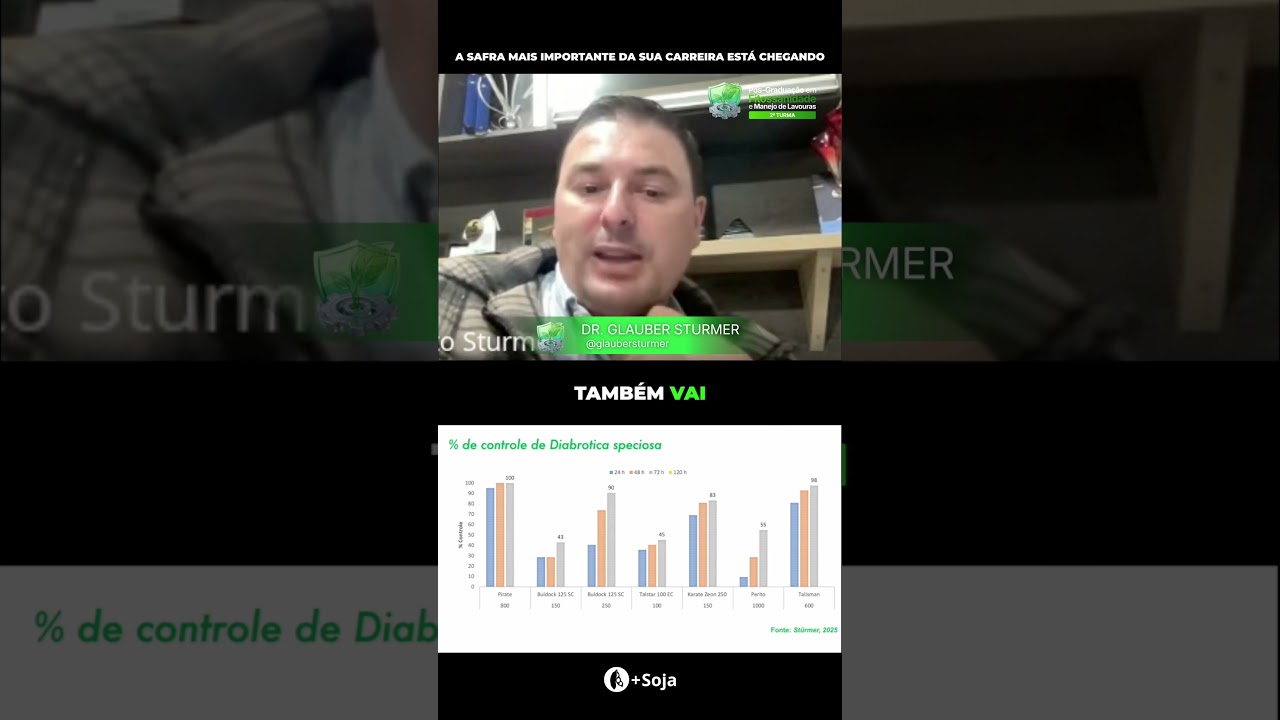 Diabrótica: Melhor Manejo #agro #agricultura