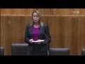 Sitzung des Nationalrates Österreich 15.11.11 - Budget und Schuldenbremse - Kinderschutz