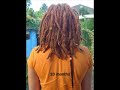 Dreadlocks timeline Dreadlocks timeline