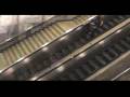 videos de Syzyf