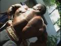 Flex-Wheeler
